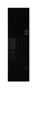 Межкомнатные двери 1AGP триплекс черный