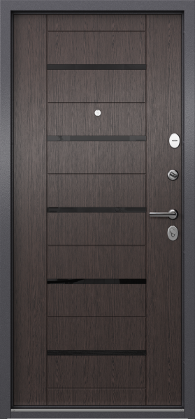 Входные двери DELTA PRO MP D2 DL-1 Темно-серый букле графит - DC-1B Lacobel Black Classic Дуб угольный