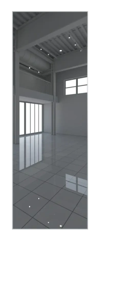 Межкомнатные двери 1AGN РАЗДВИЖНАЯ ТИП 2 ПЕНАЛ зеркало