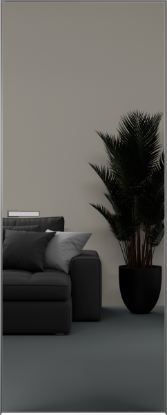 Межкомнатные двери Elen INVISIBLE Вставка зеркало (снаружи)