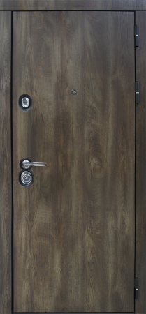 Входные двери Техас Без фрезеровки Дуб коньяк - Панель XN, ZN Дуб салинас темный
