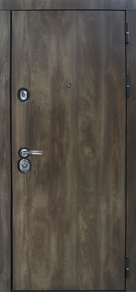 Входные двери Техас Без фрезеровки Дуб коньяк - Панель XN, ZN Дуб салинас темный