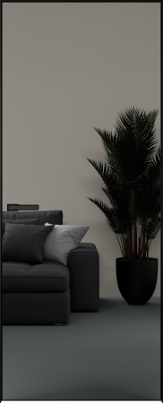 Межкомнатная дверь Elen INVISIBLE Вставка зеркало (снаружи)