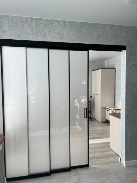 Перегородка Loft eco Черный, Стекло сатин бесцветный